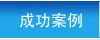 成功案例